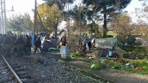 20151128_100329_resized